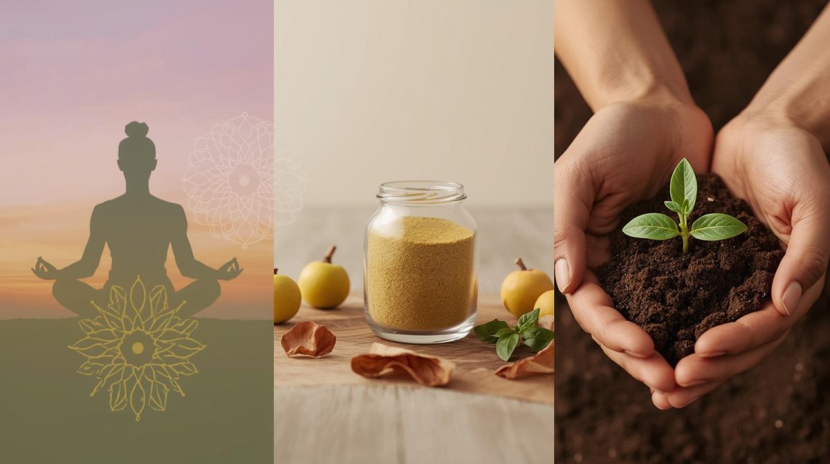 2026 Spiritual Wellness Guide: TM, Haritaki and Eco-Grief